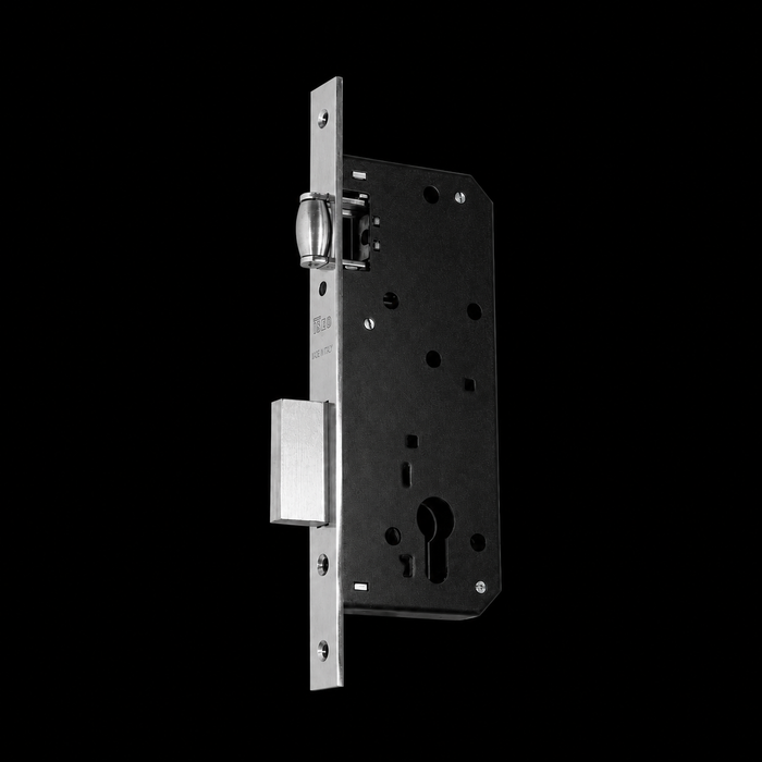 ISEO Roller Door Lock