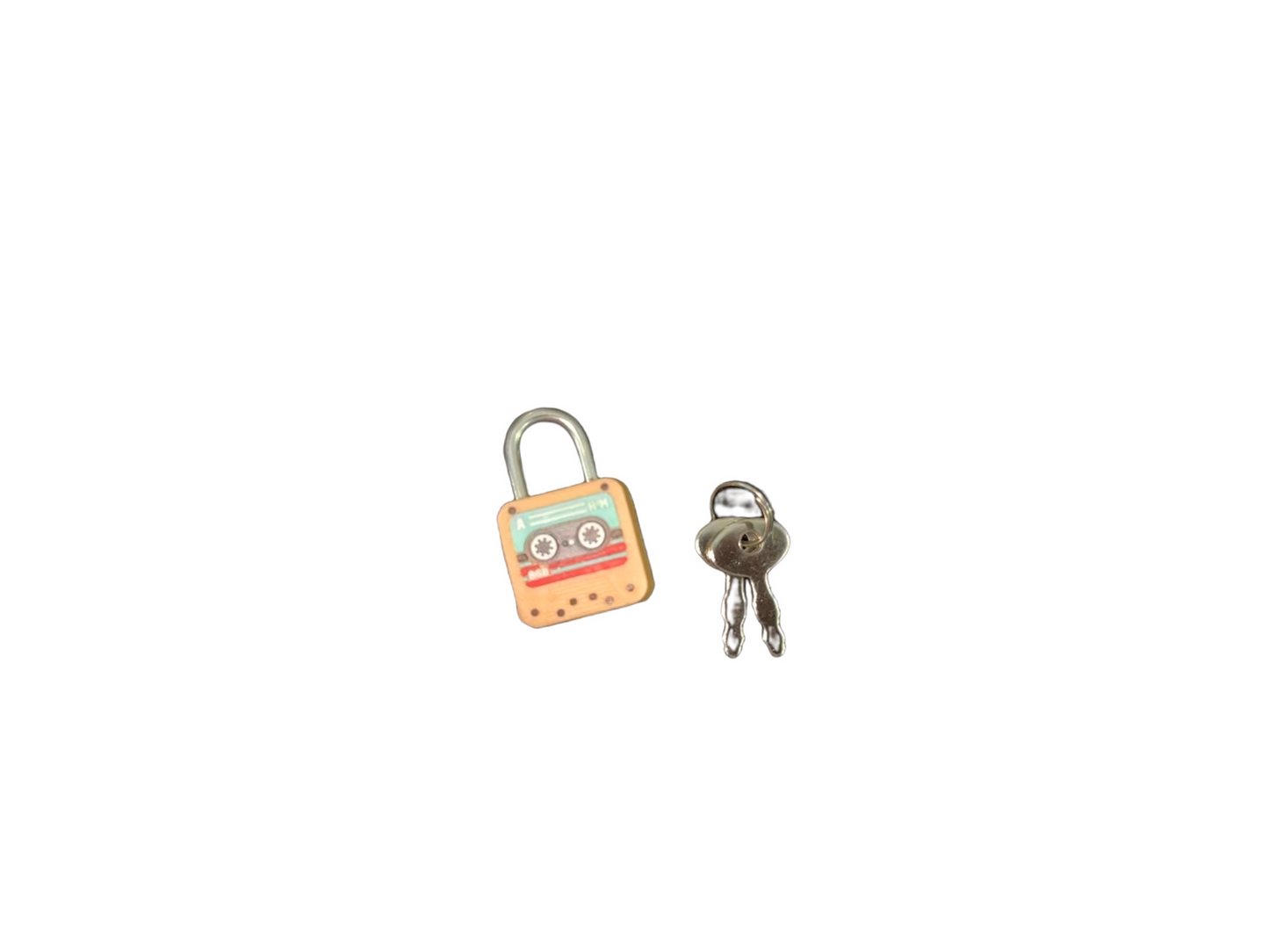 Travelling Padlock/Dzn