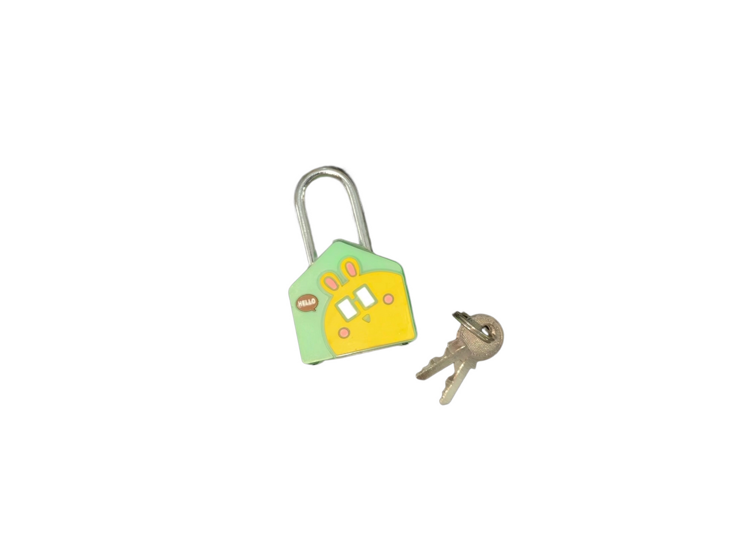 Travelling Padlock/Dzn