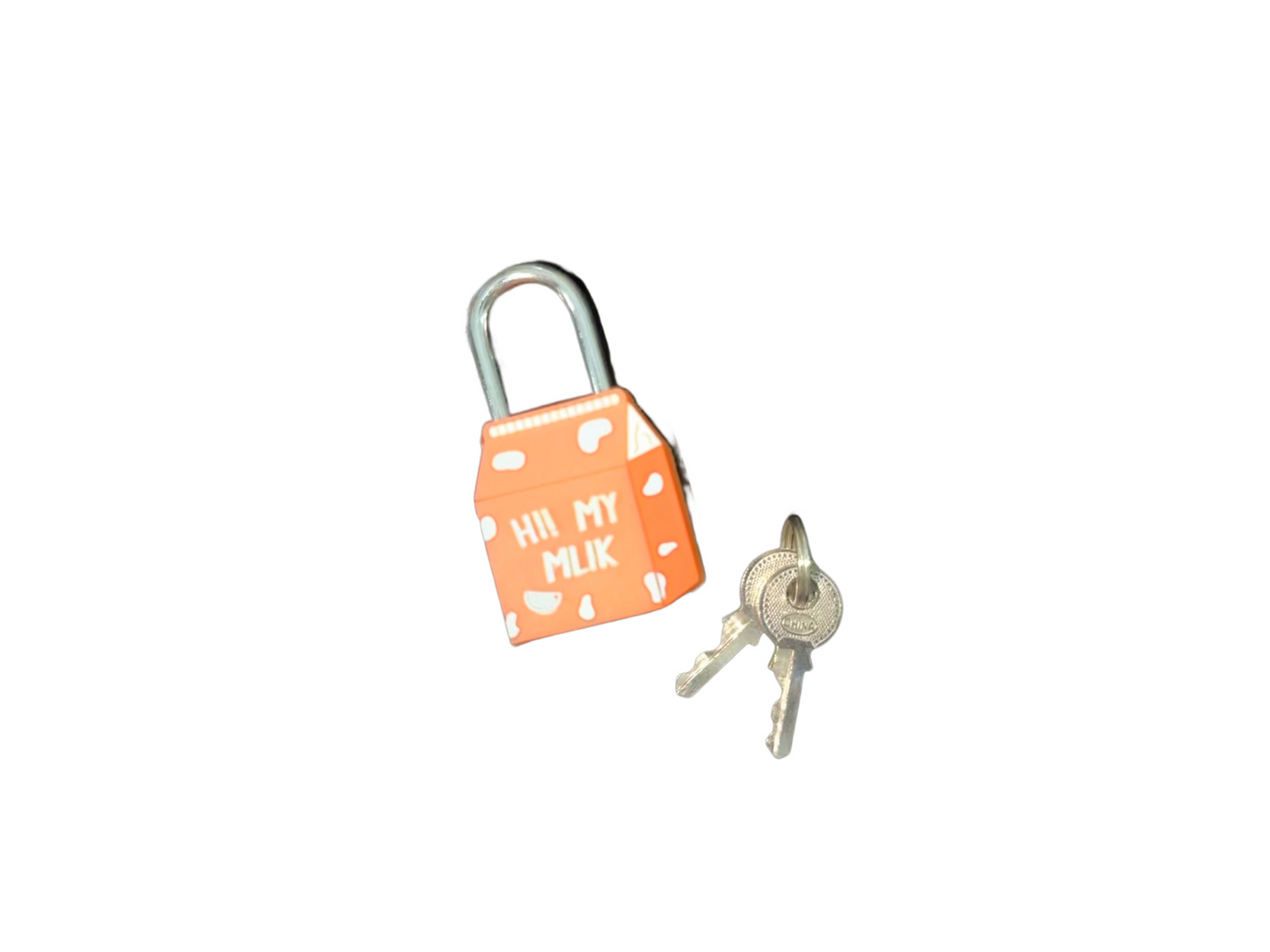 Travelling Padlock/Dzn